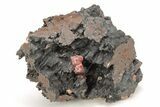 Small, Red Vanadinite Crystals on Manganese Oxide - Morocco #212000-1